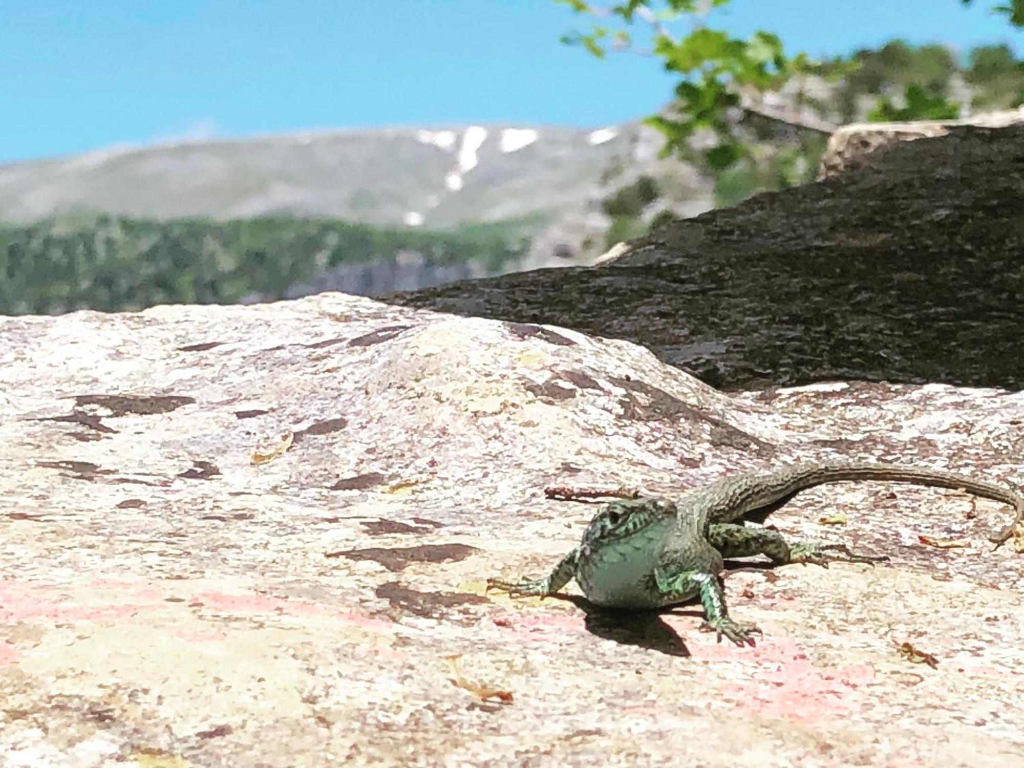Katikia Zagori Hotel Vitsa Luaran gambar