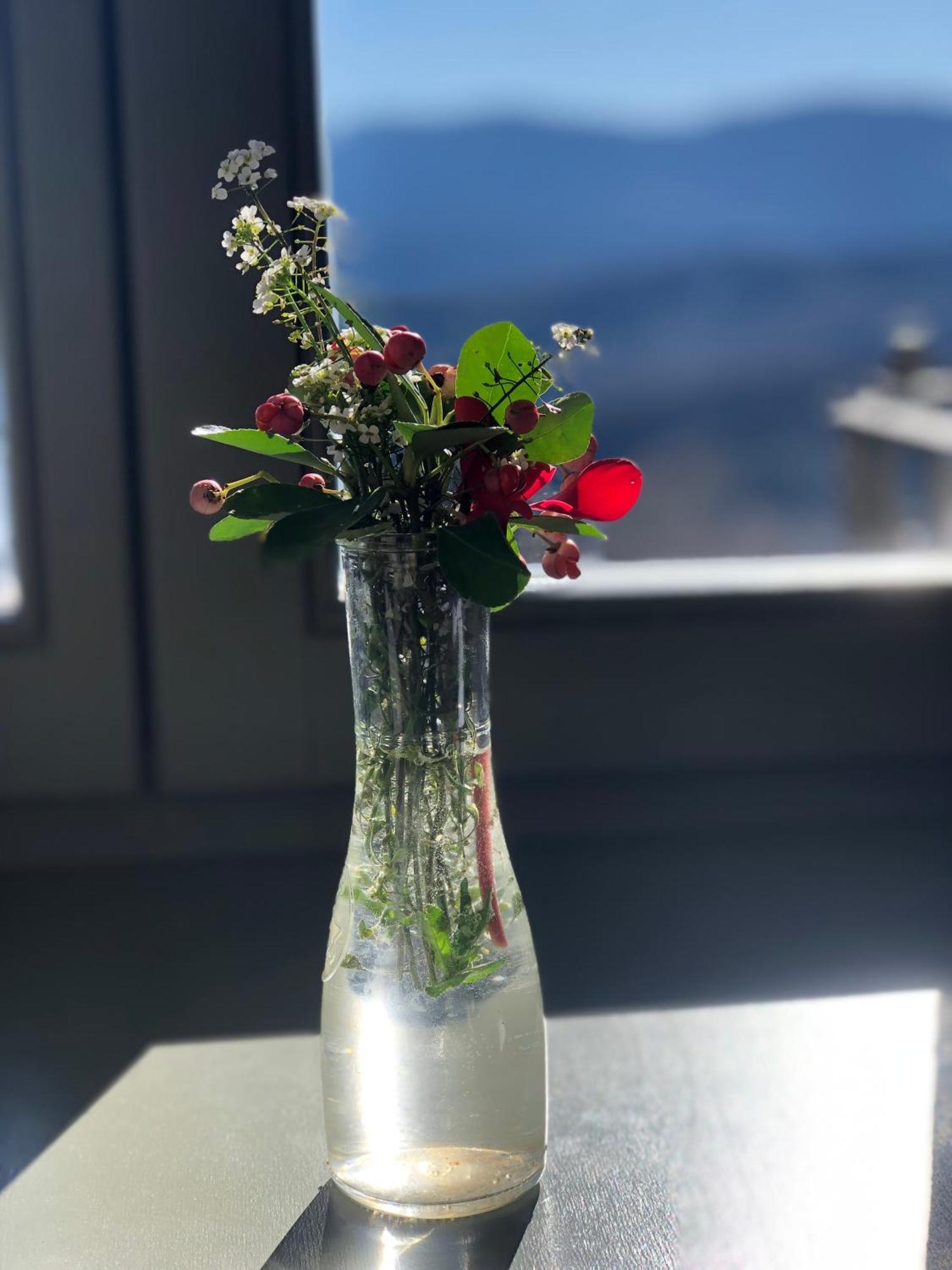 Katikia Zagori Hotel Vitsa Luaran gambar